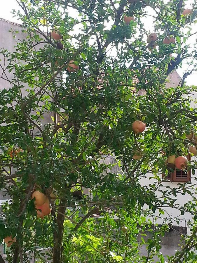 Dreams Apartment Makarska Bagian luar foto